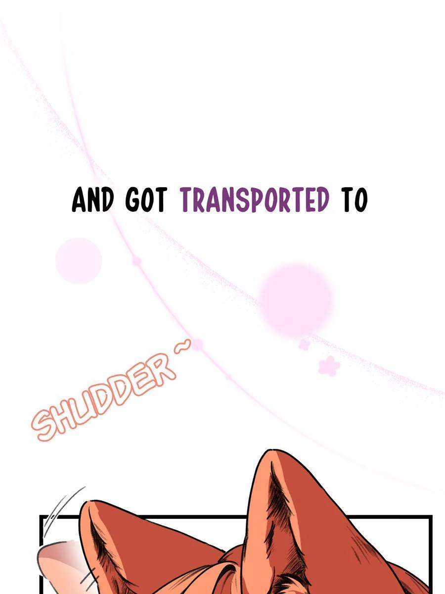 75773930 900 1200 48668